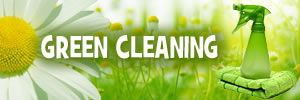 Green Cleaning Services